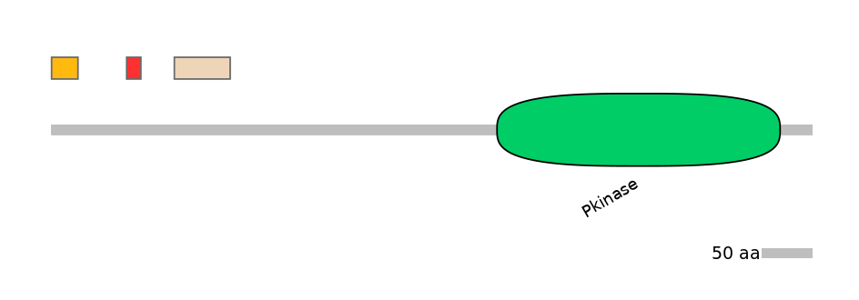 BtaEX0036539-INC