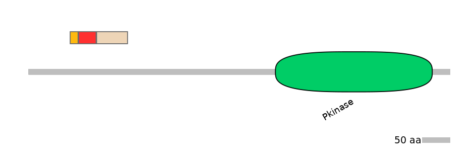 BtaEX0036540-INC