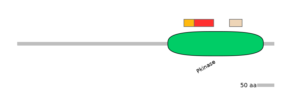 BtaEX0036542-INC