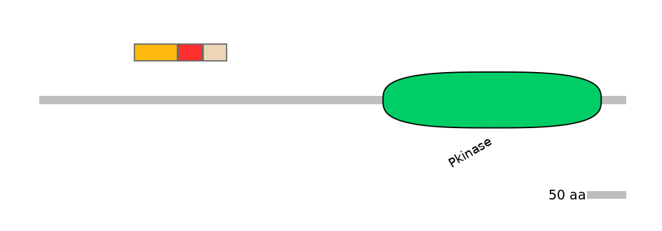 BtaEX0036544-INC