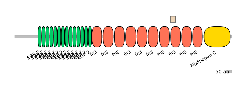 BtaEX0037212-EXC