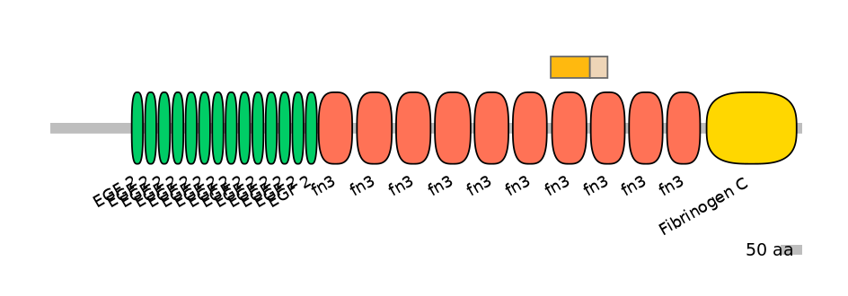 BtaEX0037214-EXC