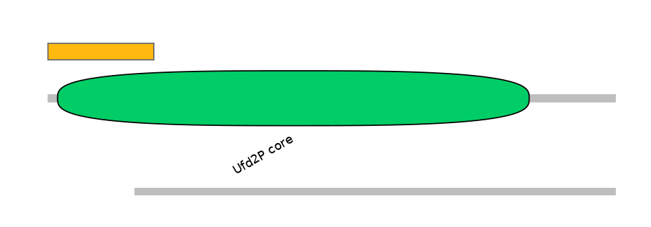 BtaEX0037532-EXC