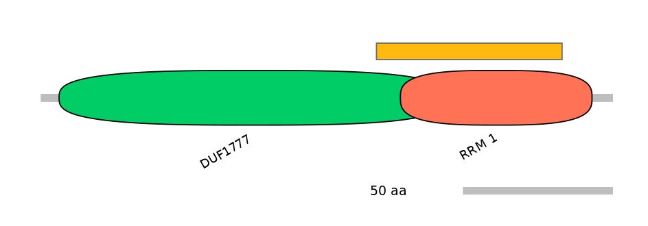 BtaEX0037533-EXC