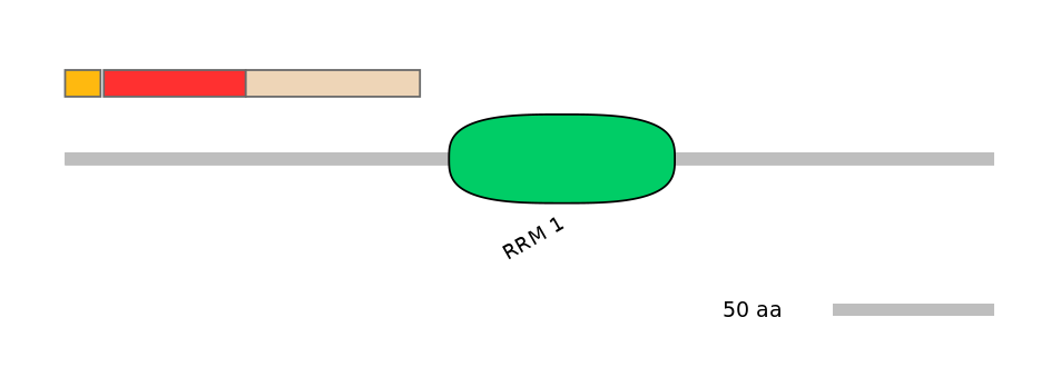 BtaEX0037539-INC
