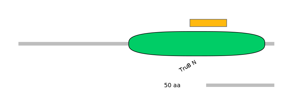 BtaEX0037906-EXC