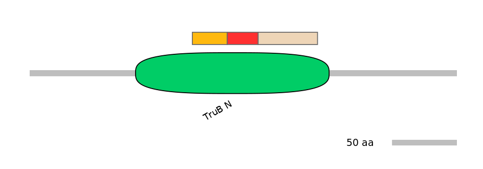 BtaEX0037906-INC
