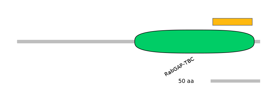 BtaEX0039474-EXC