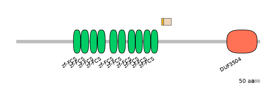 BtaEX0041028-EXC