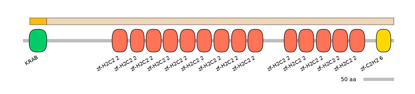 BtaEX0041133-EXC