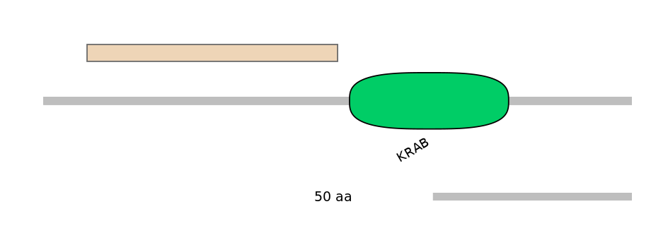 BtaEX0041185-EXC