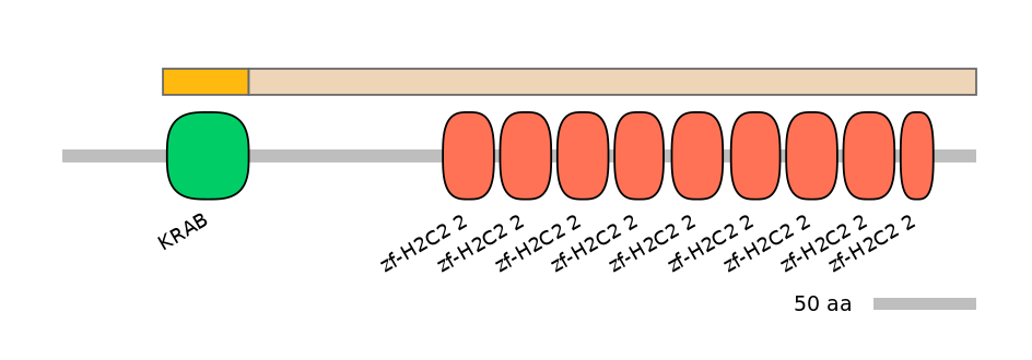 BtaEX0041228-EXC
