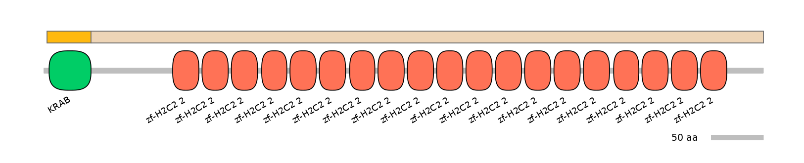 BtaEX0041305-EXC