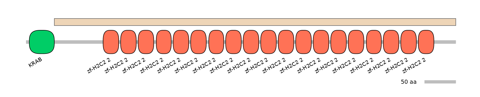 BtaEX0041306-EXC