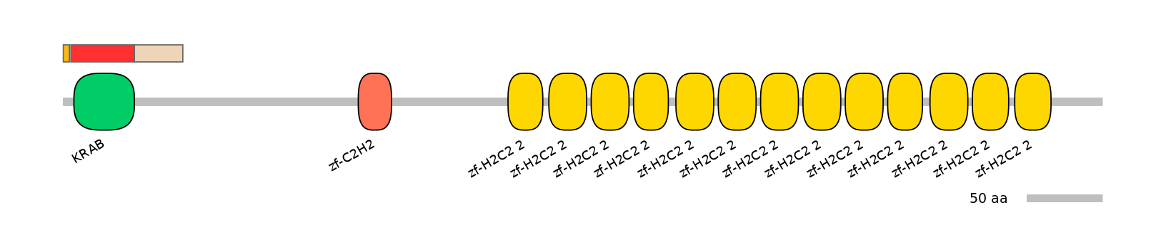 BtaEX0041328-INC