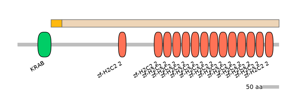 BtaEX0041433-EXC