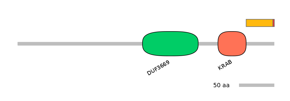 BtaEX0041533-INC