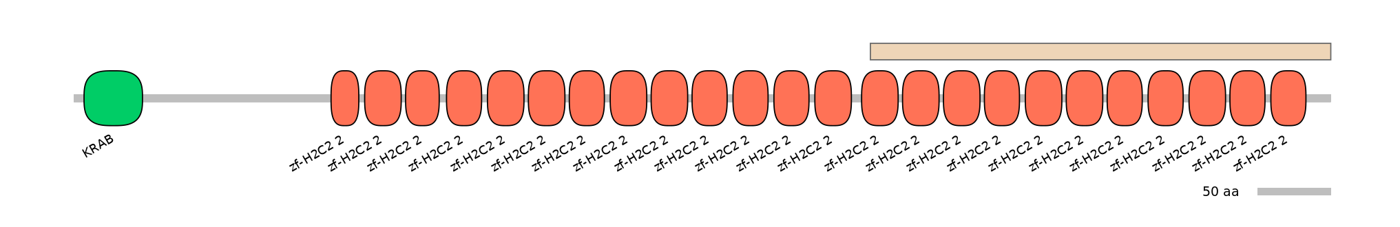BtaEX0041536-EXC