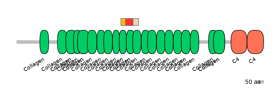 BtaEX6005995-INC