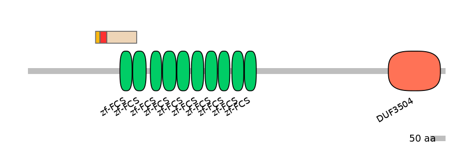 BtaEX6006468-INC