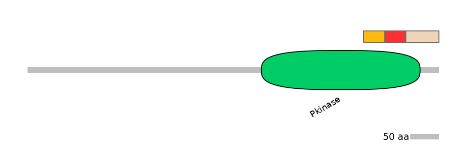 BtaEX6009091-INC