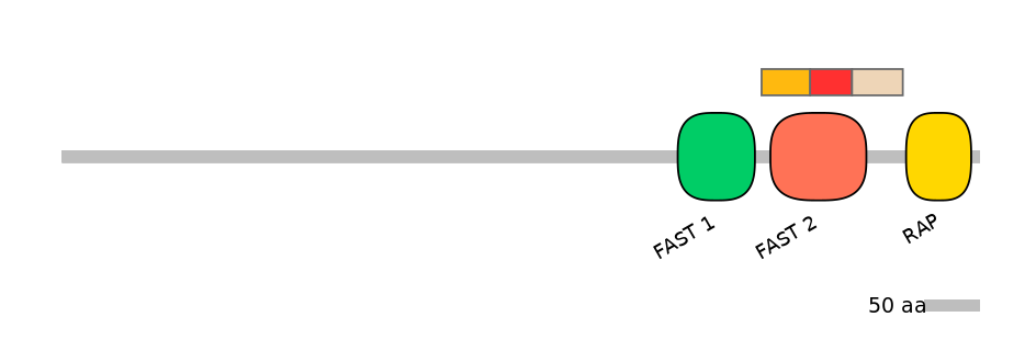 BtaEX6009203-INC