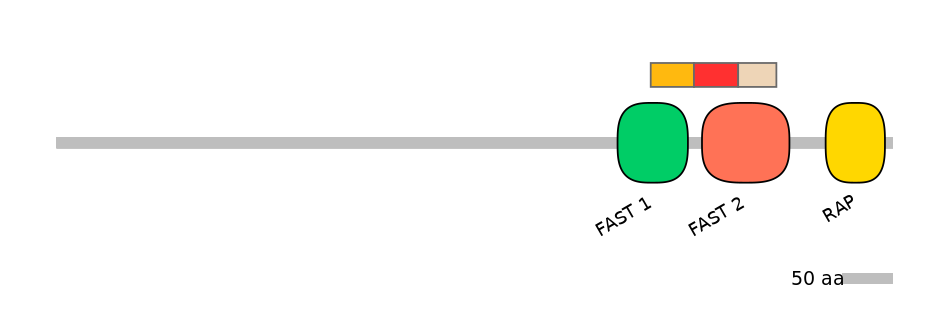 BtaEX6009204-INC