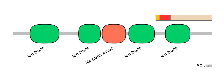 BtaEX6009322-INC