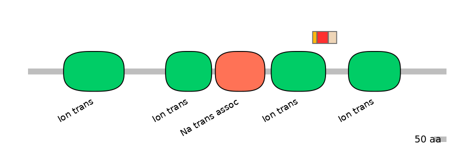 BtaEX6009324-INC