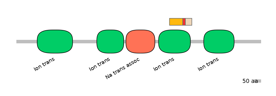 BtaEX6009325-INC