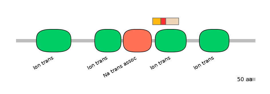 BtaEX6009327-INC