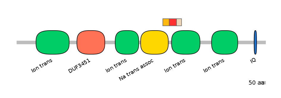 BtaEX6009363-INC