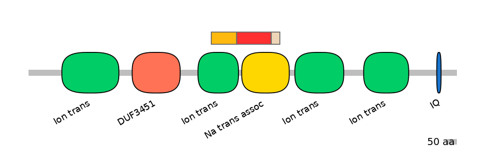 BtaEX6009366-INC