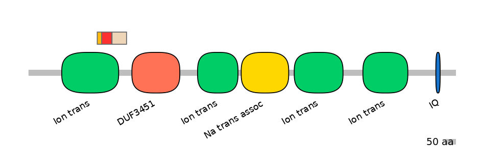 BtaEX6009371-INC