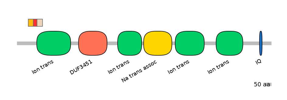 BtaEX6009375-INC