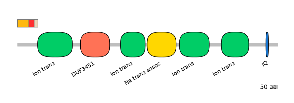 BtaEX6009376-INC