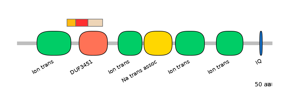 BtaEX6009409-INC