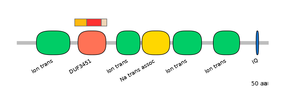 BtaEX6009410-INC