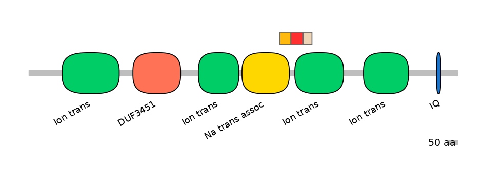 BtaEX6009418-INC