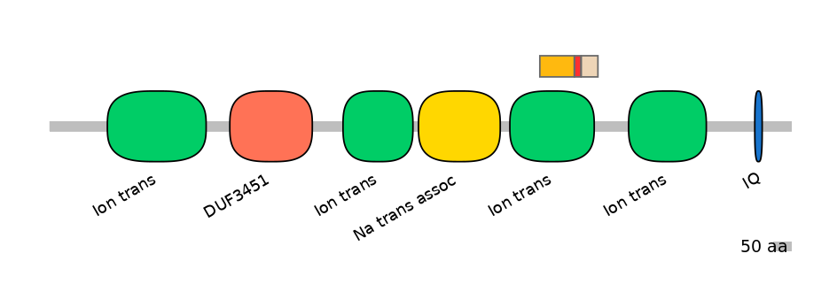 BtaEX6009421-INC