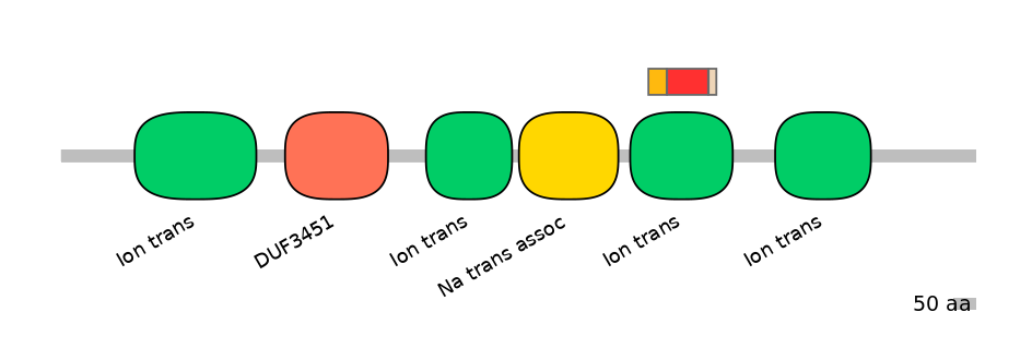 BtaEX6009424-INC