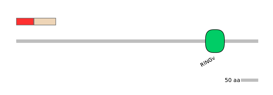 BtaEX6009615-INC