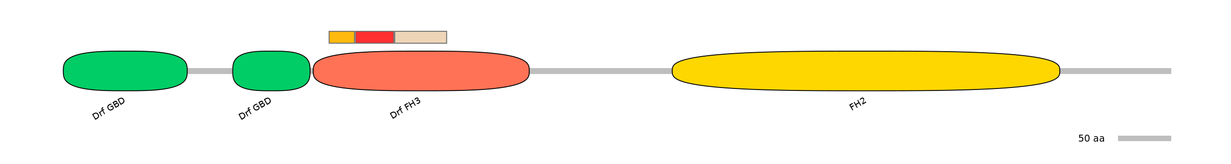 BtaEX6009748-INC