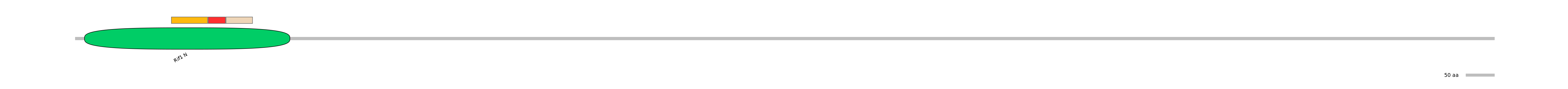 BtaEX6009855-INC