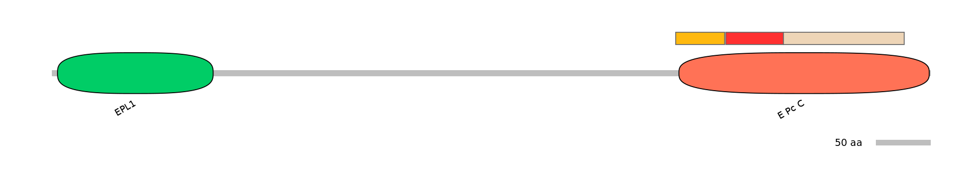 BtaEX6009917-INC