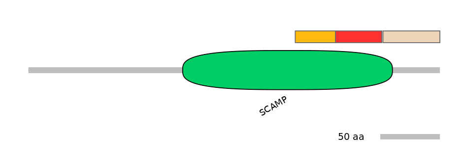 BtaEX6014598-INC