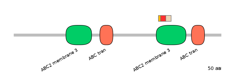 BtaEX6016499-INC