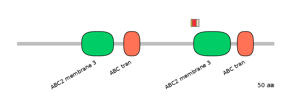 BtaEX6016501-INC