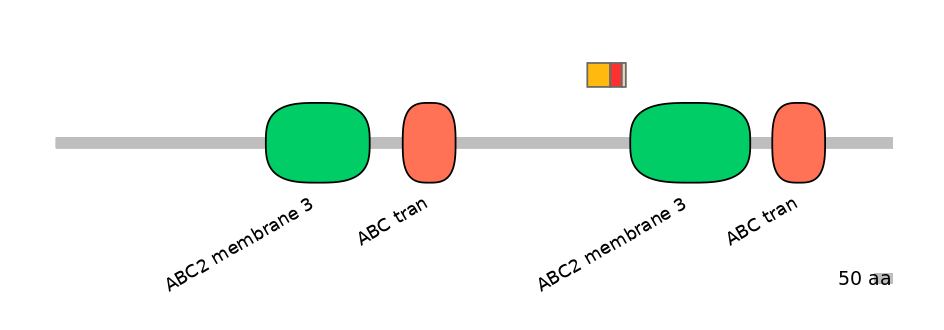 BtaEX6016503-INC