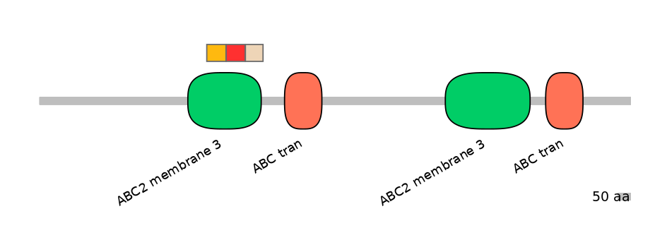 BtaEX6016517-INC